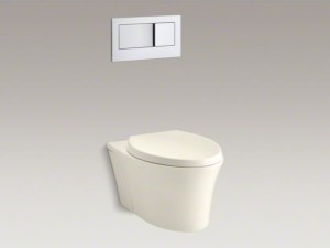 New Kohler Toilet