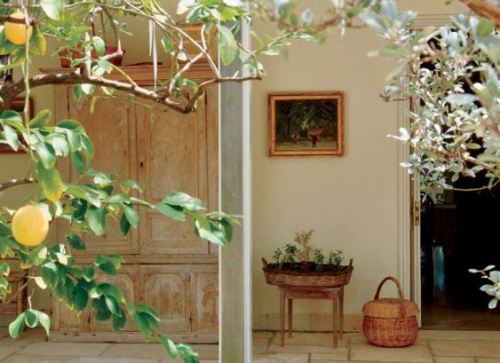 skyview Bunny Mellon standing herb trees