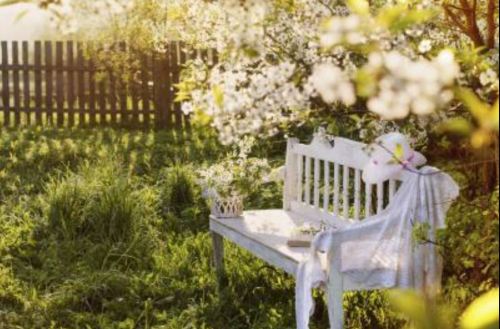 head board bench in my garden JPG